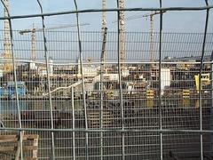 dcp_0943.jpg