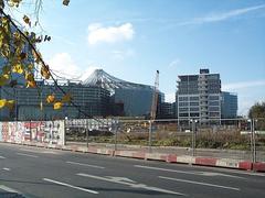 dcp_0951.jpg