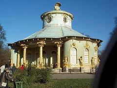dcp_1000.jpg