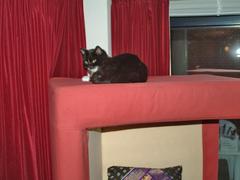 DSCF0483.jpg