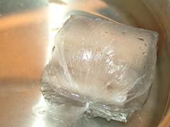 DSCF0519.jpg