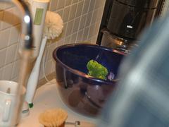 DSCF0522.jpg