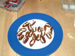 DSCF0524.jpg