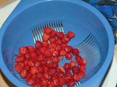 DSCF0651.jpg
