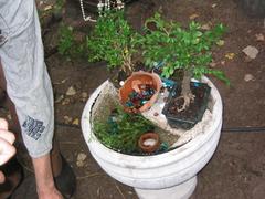 IMG_0336.JPG