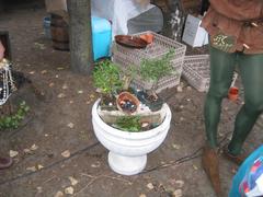 IMG_0336a.jpg