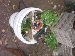 IMG_0337.JPG