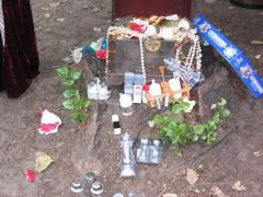 IMG_0364.JPG