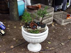 IMG_0369.JPG