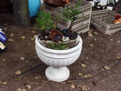 IMG_0370.JPG