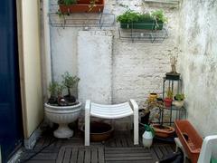 IM005440.JPG