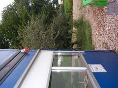 dcp05193.jpg