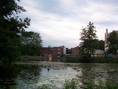 dcp05299.jpg