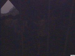 cam4-46.jpg