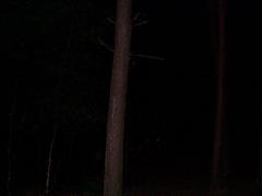 dcp02781.jpg
