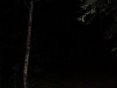 dcp02786.jpg