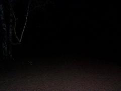 dcp02792.jpg