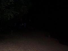 dcp02794.jpg
