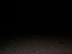 dcp02799.jpg