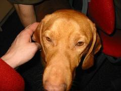 picture018.jpg