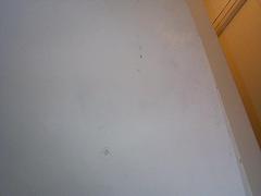 dcp00666.jpg