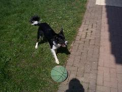 Voetballen met Gwen.
(Goede keeper)