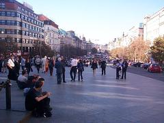 dcp05575.jpg