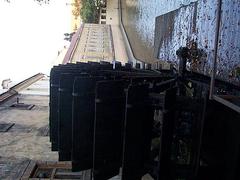 dcp05595.jpg