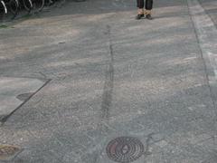 DSCN3499.JPG