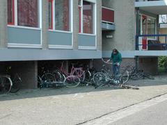 DSCN3472.JPG