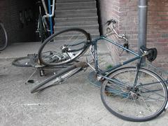 DSCN3474.JPG