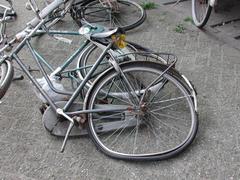 DSCN3479.JPG