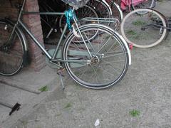 DSCN3480.JPG