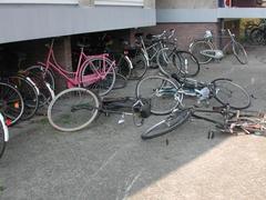 DSCN3481.JPG