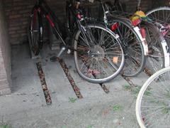 DSCN3482.JPG