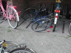 DSCN3483.JPG