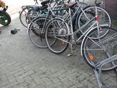 DSCN3484.JPG