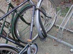 DSCN3489.JPG