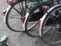 DSCN3490.JPG