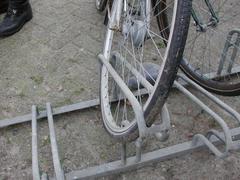 DSCN3491.JPG