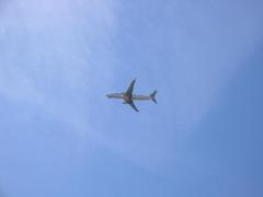 IMG_1873.jpg