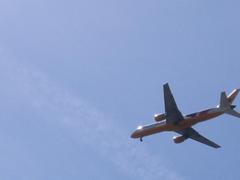 IMG_1874.jpg