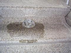 dcp00563.jpg