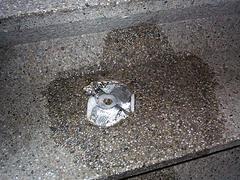 dcp00568.jpg