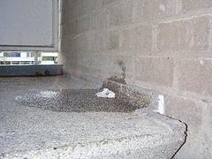 dcp00570.jpg
